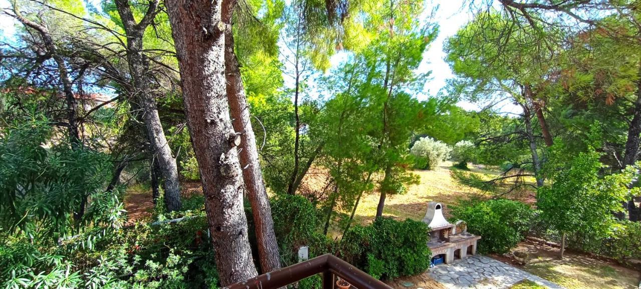 High Aesthetics Maisonette In The Wood By The Sea メタモルフォシ エクステリア 写真