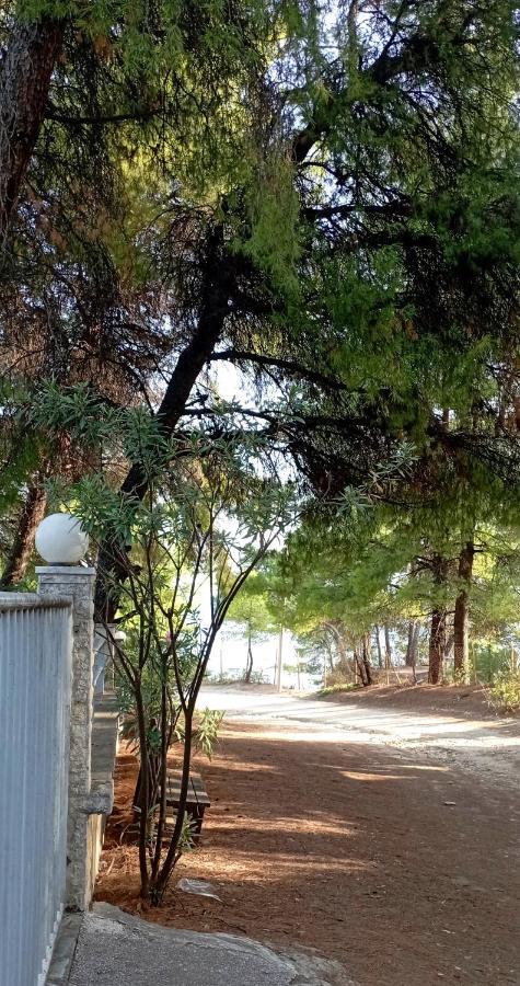 High Aesthetics Maisonette In The Wood By The Sea メタモルフォシ エクステリア 写真
