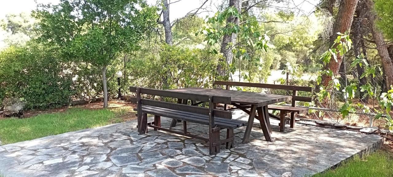 High Aesthetics Maisonette In The Wood By The Sea メタモルフォシ エクステリア 写真