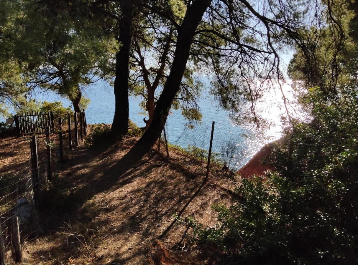 High Aesthetics Maisonette In The Wood By The Sea メタモルフォシ エクステリア 写真